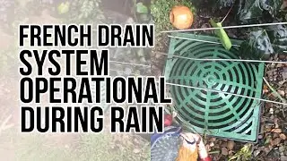 Landscaping Contractors In Santa Barbara, CA: French Drain System Operational During Rain.