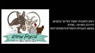 ראיון לתכנית אופיר וחריש בחמישי, רדיו לב המדינה - 91FM בנושא העברות החמורים והסוסים לעזה, 21.10.2021
