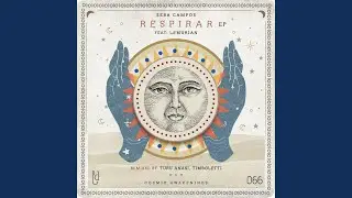 Respiro (Turu Anasi Remix)