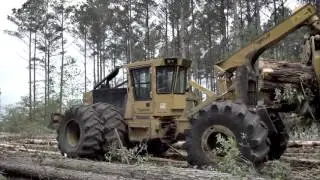 Veterans in Forestry Work