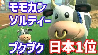 プクプクフォールズ上位ランカーをめざす