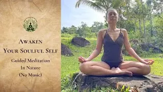 Activate Your Inner Light | Guided Meditation (Inspired by Dr. Sue Morter's Energy Codes)