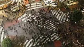 Iconic Shibuya Crossing in Tokyo | Crowds in Motion | Stock Video Footage