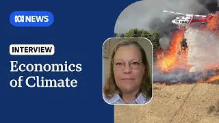 The growing toll of 'unnatural' disasters on Australia's economy | ABC NEWS
