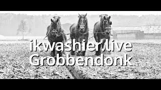 Belgische Trekpaarden ploegen - Draft Horse plowing - ikwashier.live Grobbendonk - sfeerbeeld