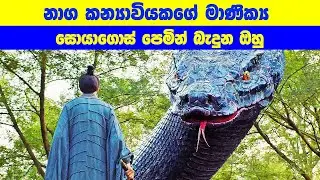 නාග කන්‍යාවියකගේ මාණික්‍ය සොයාගොස් පෙමින් බැදුන ඔහු | Movie Explained in Sinhala | Sinhala TVcaps