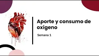 Aporte y Consumo de Oxigeno Semana 1 (Anatomia)