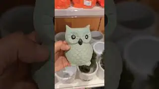 Got this Owl 🦉 Planter from Home Centre
