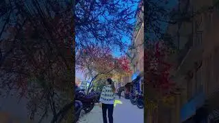 #upahar#hareko_xain_kahile_mero_jivanma#❤️❤️ #love #newsong #song #newnepalimoviesong #goviral