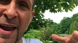 Websters Falls 2