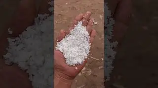কমন সল্ট  #commonsalt #লবণ