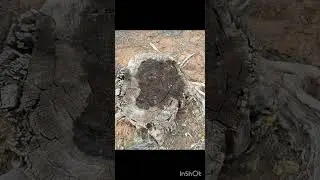 Spring Camping Pee Compilation