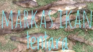 ultralight casting saat air keruh dan ombak besar di pantai jatisari sluke rembang