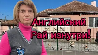 Болгария. Из первых рук от самих англичан!