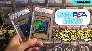 $7500+ PSA RETURN! 1st Edition LOB Dark Magicians and Disney Lorcana Enchanted Elsas are back!