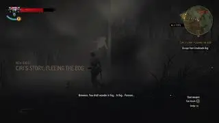 Witcher 3 - Ciri's story: Fleeing the bog