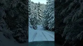 #Snow #Feneos #Wheeling