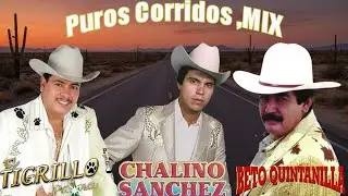 Chalino Sanchez, Beto Quintanilla y Tigrillo Palma Mix Para Pistear - Corridos Pesados Mix