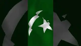 Pakistani flag🇵🇰❤️#pakistan #pakistani #pakistaniflag#artist #art