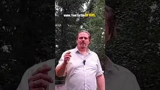 fourforthebrain.com #neu #nachkritik #schautselbst #Info #forthebrain