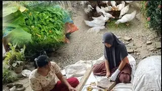 NOW'S MOOD,STARTING TO ACTIVITIES POST THE ACEH FLOOD