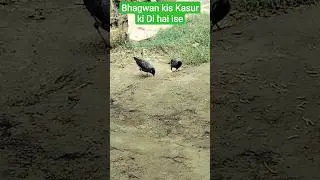 Bhagwan kis Kasur ki Di hai ise#youtubeshorts #shortvideo #viral #2023