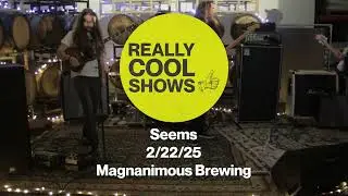 Seems - Live at Magnanimous Brewing 2/22/25