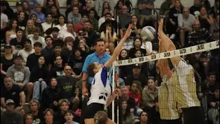 Ally Fausett(2026)