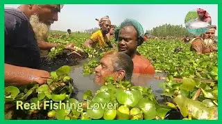 Now Amazing Polo Fishing Video।Beautiful Village Real Fishing