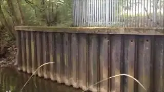 EPIC!!! Mink Sighting And Calling (UK)