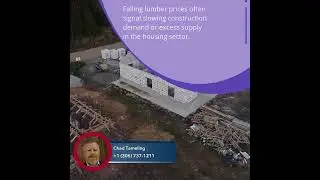 Falling Lumber Prices and Canada&rsquo;s Housing Outlook