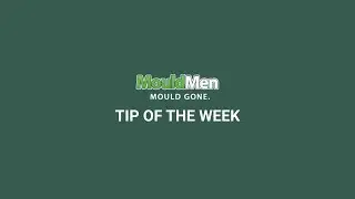 Mould Prevention Tip: Clean Your Gutters to Prevent Water Leaks