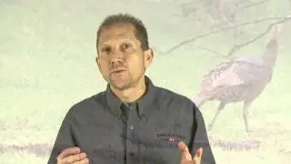 How to Call to a Turkey on the Roost