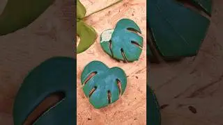 DIY Monstera Leaf Soap Dish | Air Dry Clay  #shorts
