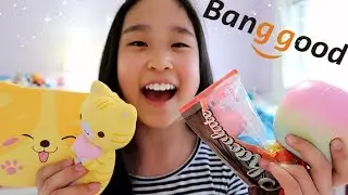 AMAZING BANGGOOD SQUISHY PACKAGE!!!