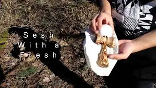 Sesh With a Fresh: Grain Theory x Toriba Coffee - Ben Herald Pro Mod