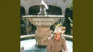 Consuelito