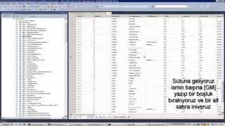 Vsro-SQL (Silkroad)  [GM] Nick ayarlama
