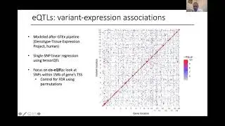 Identification of regulatory landscape in brain regions of HS rats - Daniel Munro, CTC-RG 2021