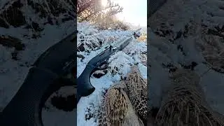 Partridge hunting,охота на куропатку, chasse &agrave; la perdrix, صيد الحجل