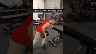 Back Horse exercise