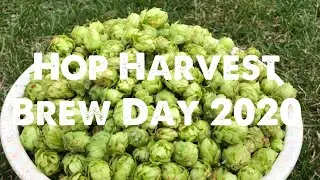 Hop Harvest Brew Day 2020