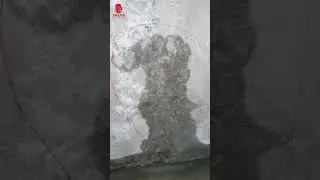 Отзывы заказчика. Ч1