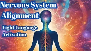 Nervous System Alignment-Light Language Activation & Meditation helping the body to integrate.