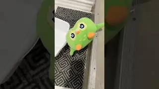 Почти правильно по меркам Duolingo 😐🦉