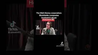 The Walt Disney corporation; a worldwide business involved in abuse