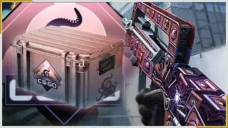 CS:GO Update: Dreams & Nightmares Winners