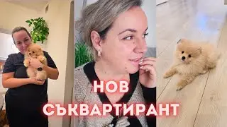 Нов съквартирант. Рецепти за азиатски ястия. Нова придобивка за дома.