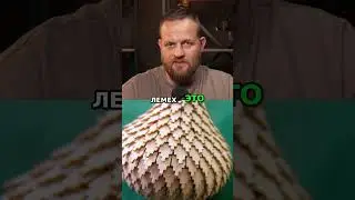 Кижи! Новая коллекция сувениров и уникальный лемех #мерч #мода #брендыодежды #рогалев #обзор