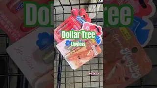 Turning My Empty e.l.f. Blush Into Lip Gloss | Dollar Tree Hunt 💄 (Part 2)